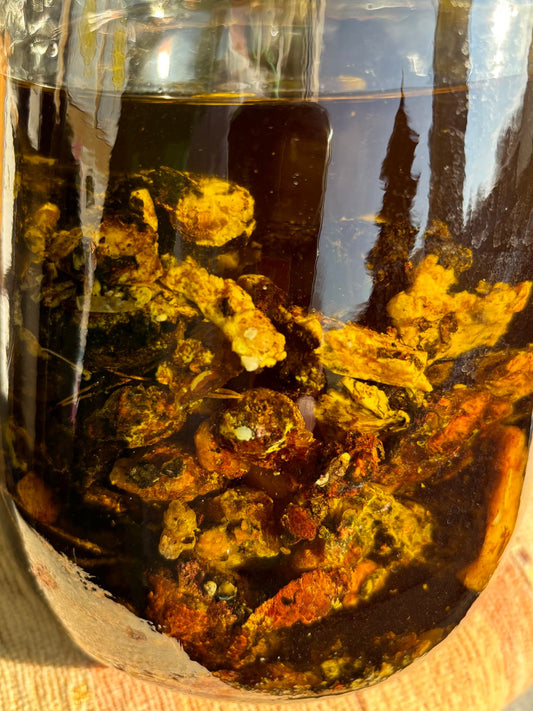 Fichtenharz löst sich im Olivenöl